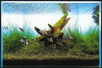 gallery055.jpg